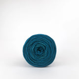 Turtle: Reclaimed T-Shirt Fabric Yarn