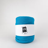 Belize: Reclaimed T-Shirt Fabric Yarn