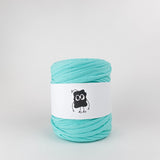 Tame Teal: Reclaimed T-Shirt Fabric Yarn