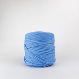 Spearmint: Reclaimed T-Shirt Fabric Yarn