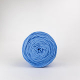 Spearmint: Reclaimed T-Shirt Fabric Yarn